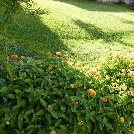 B&B Oliena Frühstückspension 3*