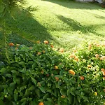 B&B Oliena Bed & Breakfast 3*