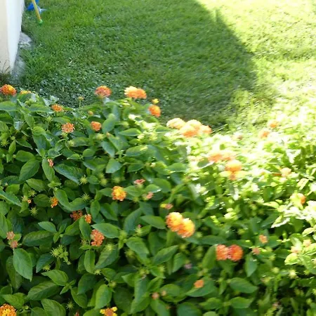 B&B Oliena فندق مبيت وإفطار أوليينا