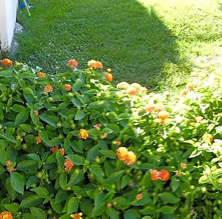 Bed & Breakfast B&B Oliena