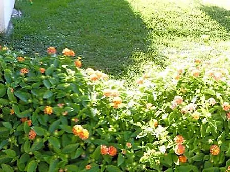 Bed & Breakfast B&B Oliena 3*