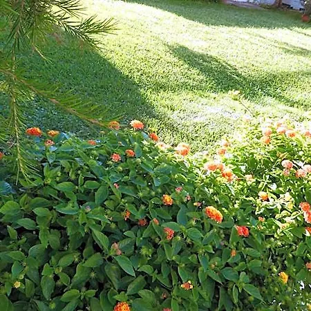 B&B Oliena Bed & Breakfast Oliena